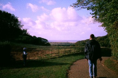 Sheringham Park looking towards Coast - Sheringham