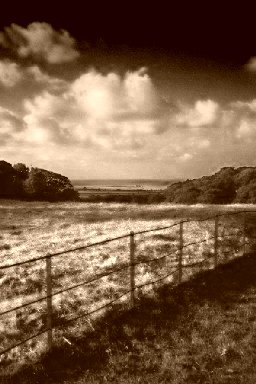 Sheringham Park - Sepia shot